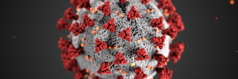 A picture of coronavirus cell 