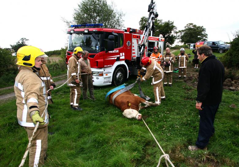 Wellington firefighters rescue a bull from a sunken well. They need more firefighter crew to cover such daytime rescues.